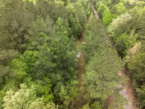 15 Old Hwy 35, Sandy Hook, MS 39478 photo 33