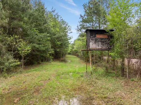 15 Old Hwy 35, Sandy Hook, MS 39478 photo 2