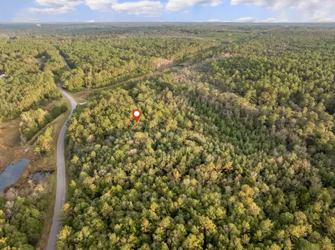 10 4 Mol Ac Pete Miles Rd, Lucedale, MS 39452 photo 19