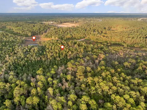 10 4 Mol Ac Pete Miles Rd, Lucedale, MS 39452 photo 24