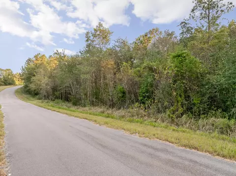 10 4 Mol Ac Pete Miles Rd, Lucedale, MS 39452 photo 4