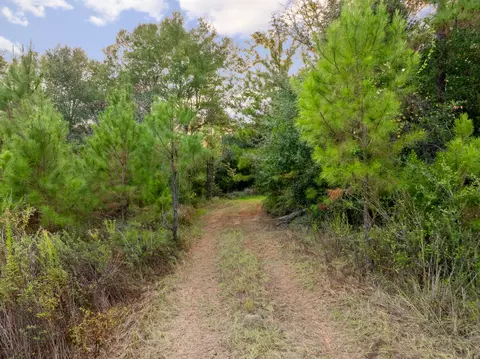 10 4 Mol Ac Pete Miles Rd, Lucedale, MS 39452 photo 13