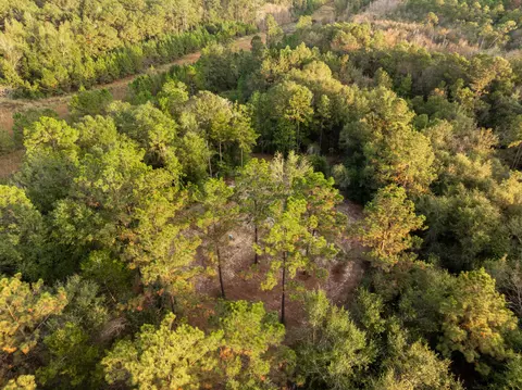10 4 Mol Ac Pete Miles Rd, Lucedale, MS 39452 photo 15