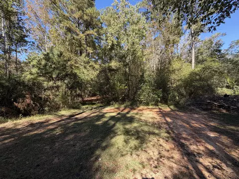 8 2 Ac Mol Timber Ln Dr, Collins, MS 39428 photo 4
