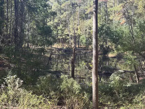 8 2 Ac Mol Timber Ln Dr, Collins, MS 39428 photo 8