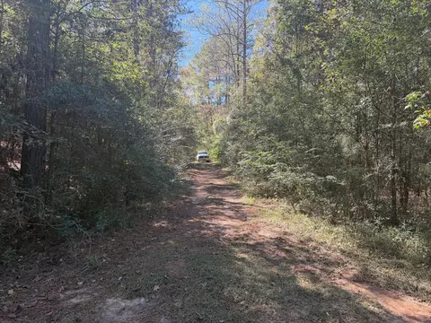 8 2 Ac Mol Timber Ln Dr, Collins, MS 39428 photo 5