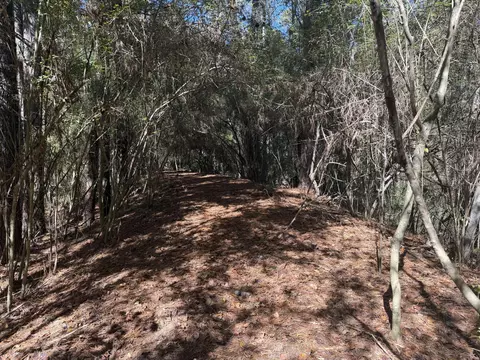 8 2 Ac Mol Timber Ln Dr, Collins, MS 39428 photo 6