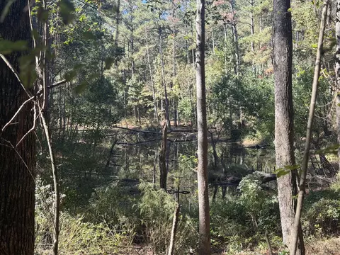 8 2 Ac Mol Timber Ln Dr, Collins, MS 39428 photo 7