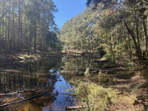 8 2 Ac Mol Timber Ln Dr, Collins, MS 39428