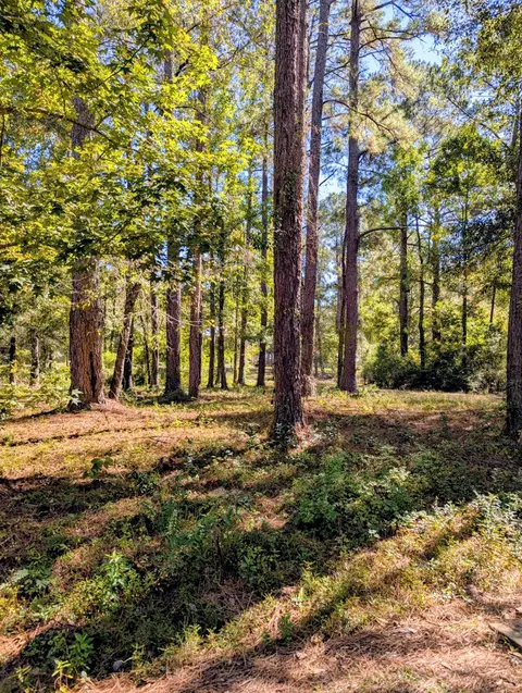 0 Norrell Dr, Petal, MS 39465 photo 2