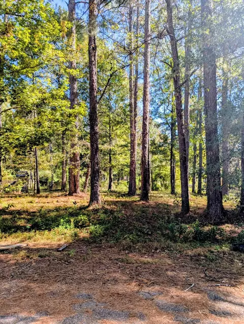 0 Norrell Dr, Petal, MS 39465