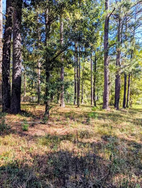 0 Norrell Dr, Petal, MS 39465 photo 3
