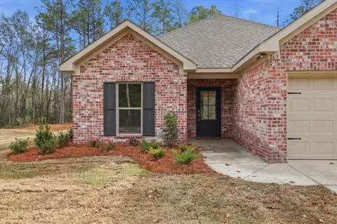 265 Smith Dr, Mendenhall, MS 39114 photo 2