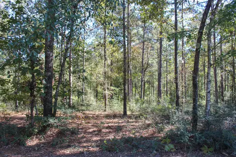000 Marshal Pl, Petal, MS 39465