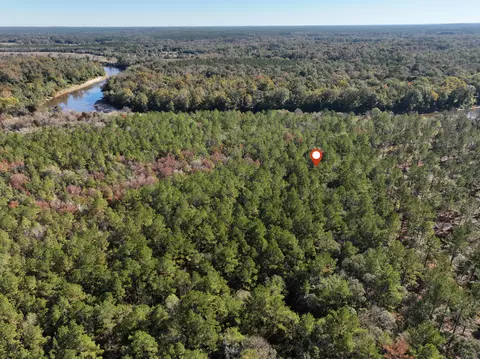 1 08 Mol Ac Old Hwy 24 Parcel 20, Mclain, MS 39456 photo 4