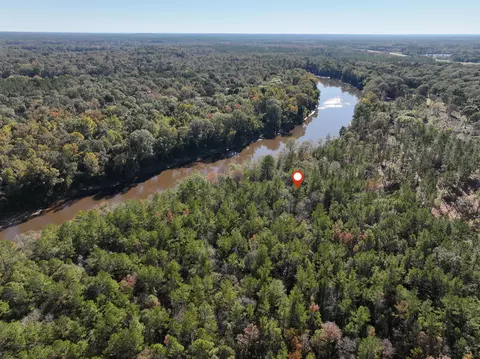 1 12 Mol Ac Old Hwy 24 Parcel 21, Mclain, MS 39456 photo 5