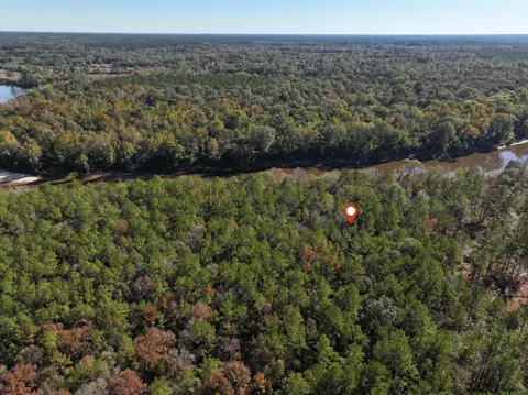 1 12 Mol Ac Old Hwy 24 Parcel 21, Mclain, MS 39456 photo 6