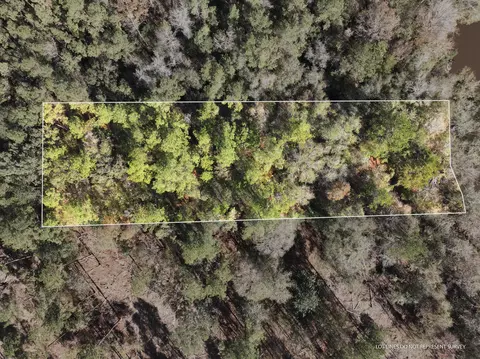 1 12 Mol Ac Old Hwy 24 Parcel 21, Mclain, MS 39456