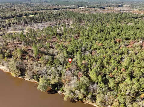 1 12 Mol Ac Old Hwy 24 Parcel 21, Mclain, MS 39456 photo 3