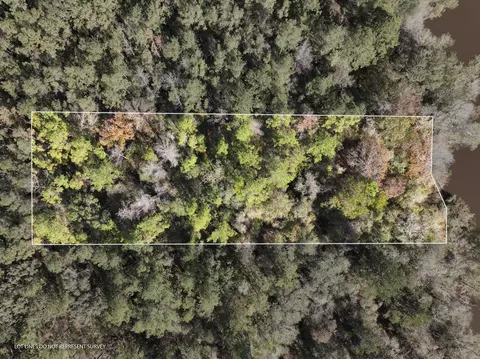 1 08 Mol Ac Old Hwy 24 Parcel 22, Mclain, MS 39456