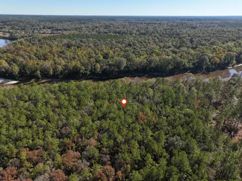 1 08 Mol Ac Old Hwy 24 Parcel 22, Mclain, MS 39456 photo 6