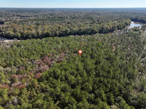 1 08 Mol Ac Old Hwy 24 Parcel 23, Mclain, MS 39456 photo 5