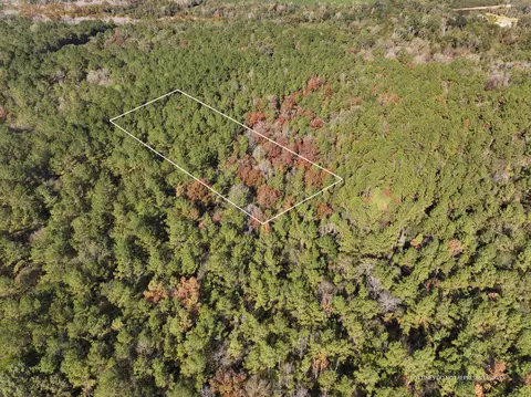 1 08 Mol Ac Old Hwy 24 Parcel 24, Mclain, MS 39456 photo 2