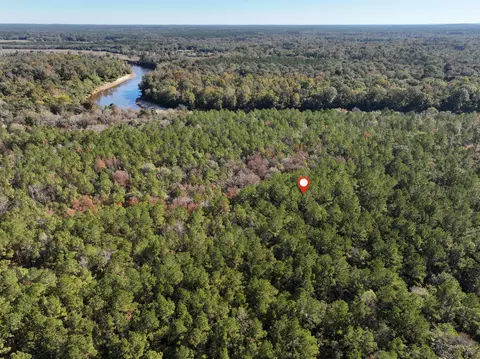 1 08 Mol Ac Old Hwy 24 Parcel 24, Mclain, MS 39456 photo 4