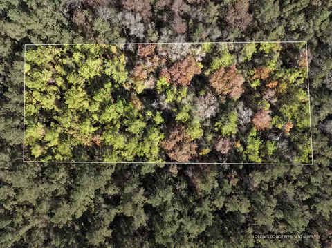 1 08 Mol Ac Old Hwy 24 Parcel 24, Mclain, MS 39456