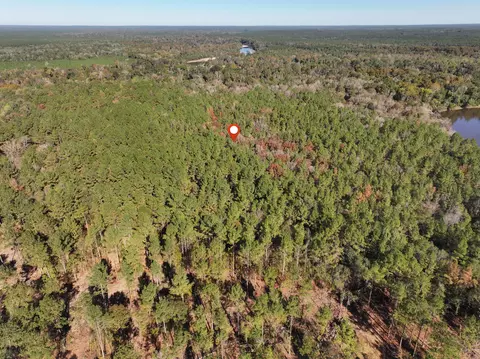1 08 Mol Ac Old Hwy 24 Parcel 27, Mclain, MS 39456 photo 6