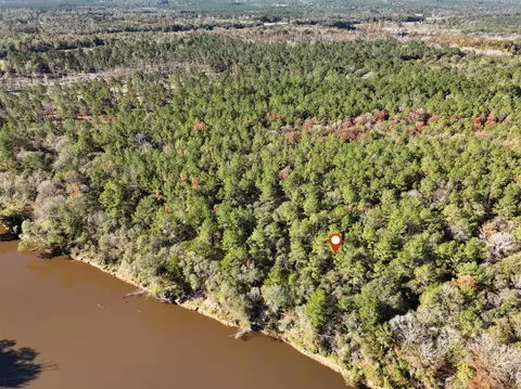 1 08 Mol Ac Old Hwy 24 Parcel 29, Mclain, MS 39456 photo 3