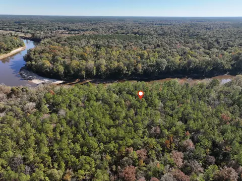 1 08 Mol Ac Old Hwy 24 Parcel 29, Mclain, MS 39456 photo 6