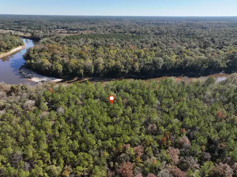 1 0 Mol Ac Old Hwy 24 Parcel 30, Mclain, MS 39456 photo 6