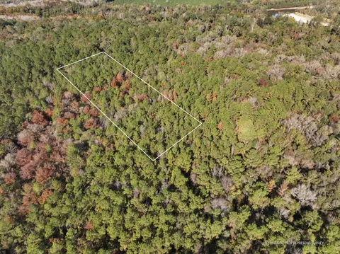 1 08 Mol Ac Old Hwy 24 Parcel 31, Mclain, MS 39456 photo 2