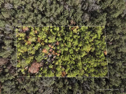 1 08 Mol Ac Old Hwy 24 Parcel 32, Mclain, MS 39456