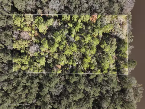 1 0 Mol Ac Old Hwy 24 Parcel 33, Mclain, MS 39456