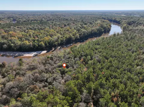 1 0 Mol Ac Old Hwy 24 Parcel 37, Mclain, MS 39456 photo 5