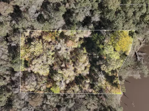 1 0 Mol Ac Old Hwy 24 Parcel 38, Mclain, MS 39456