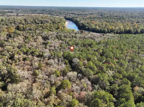 1 12 Mol Ac Old Hwy 24 Parcel 39, Mclain, MS 39456 photo 4