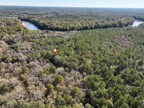 1 12 Mol Ac Old Hwy 24 Parcel 39, Mclain, MS 39456 photo 5