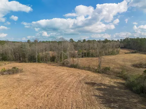0 Fruitland Park Rd, Wiggins, MS 39577