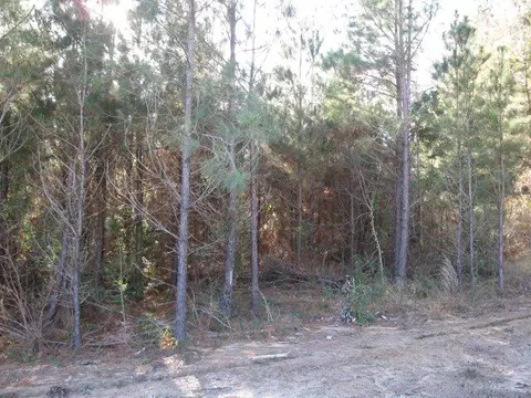 lot1 Parkview Ests, Ellisville, MS 39437