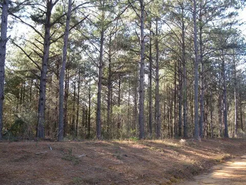 lot3 Parkview Dr, Ellisville, MS 39437