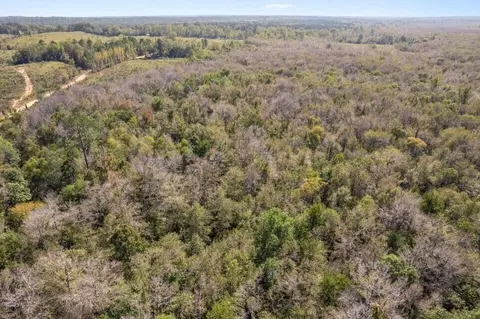 83 Bill Willis Rd, Union, MS 39365 photo 7
