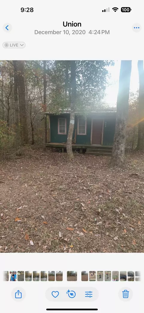 83 Bill Willis Rd, Union, MS 39365 photo 17