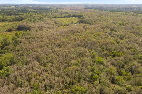 83 Bill Willis Rd, Union, MS 39365 photo 11