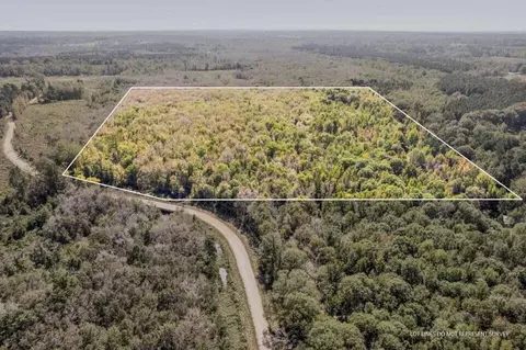 83 Bill Willis Rd, Union, MS 39365