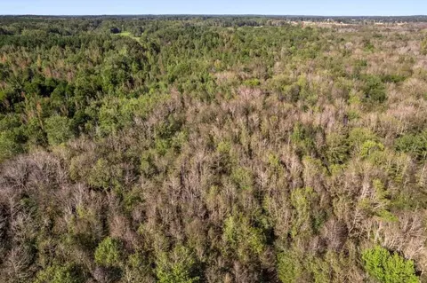 83 Bill Willis Rd, Union, MS 39365 photo 8