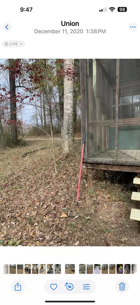 83 Bill Willis Rd, Union, MS 39365 photo 20