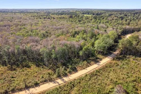 83 Bill Willis Rd, Union, MS 39365 photo 5